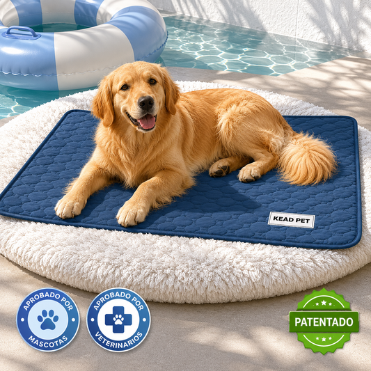 KEAD POLAR™ | Zona Fresca para Perros