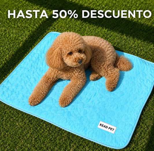 KEAD POLAR™ | Zona Fresca para Perros