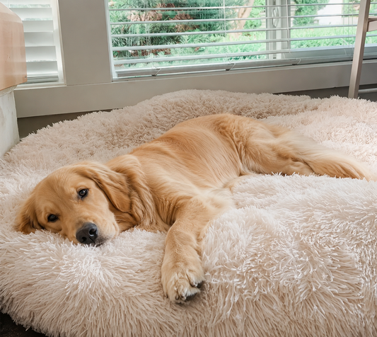 Kead™ – Cama Nº1 Calmante Premium | Nueva Colección 2026